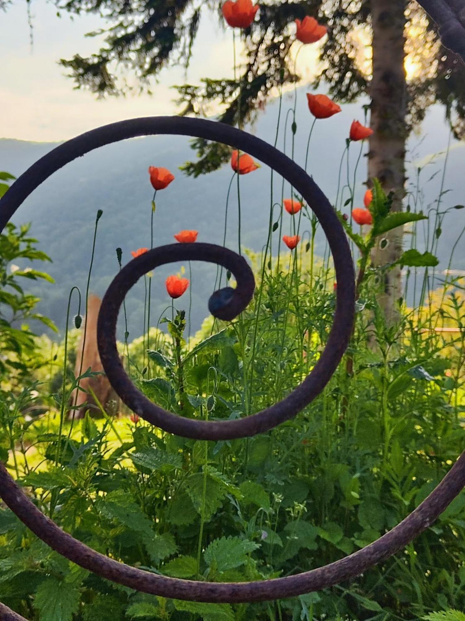 Maison Berthranet Seich Zewnętrze zdjęcie