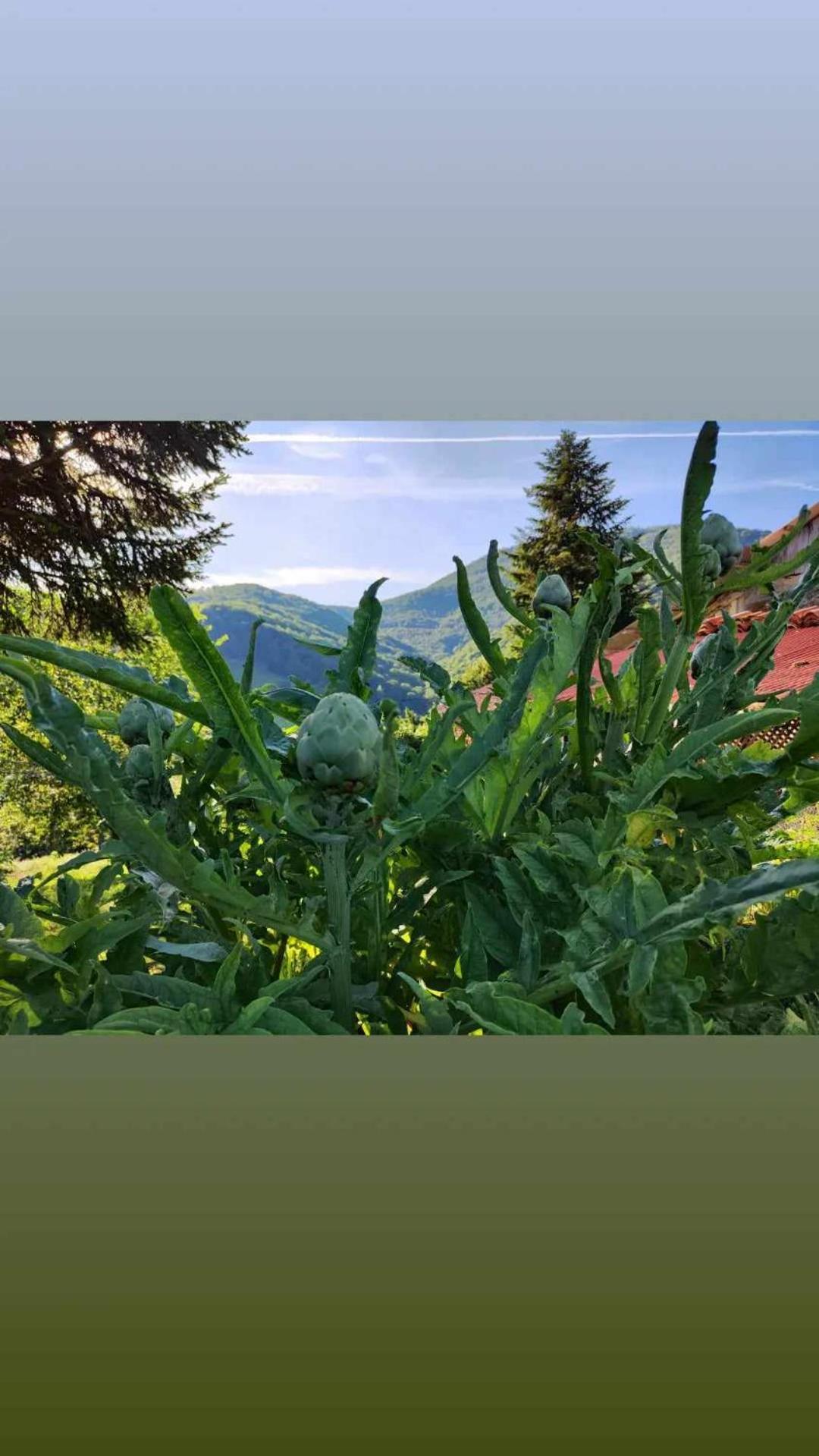 Maison Berthranet Seich Zewnętrze zdjęcie