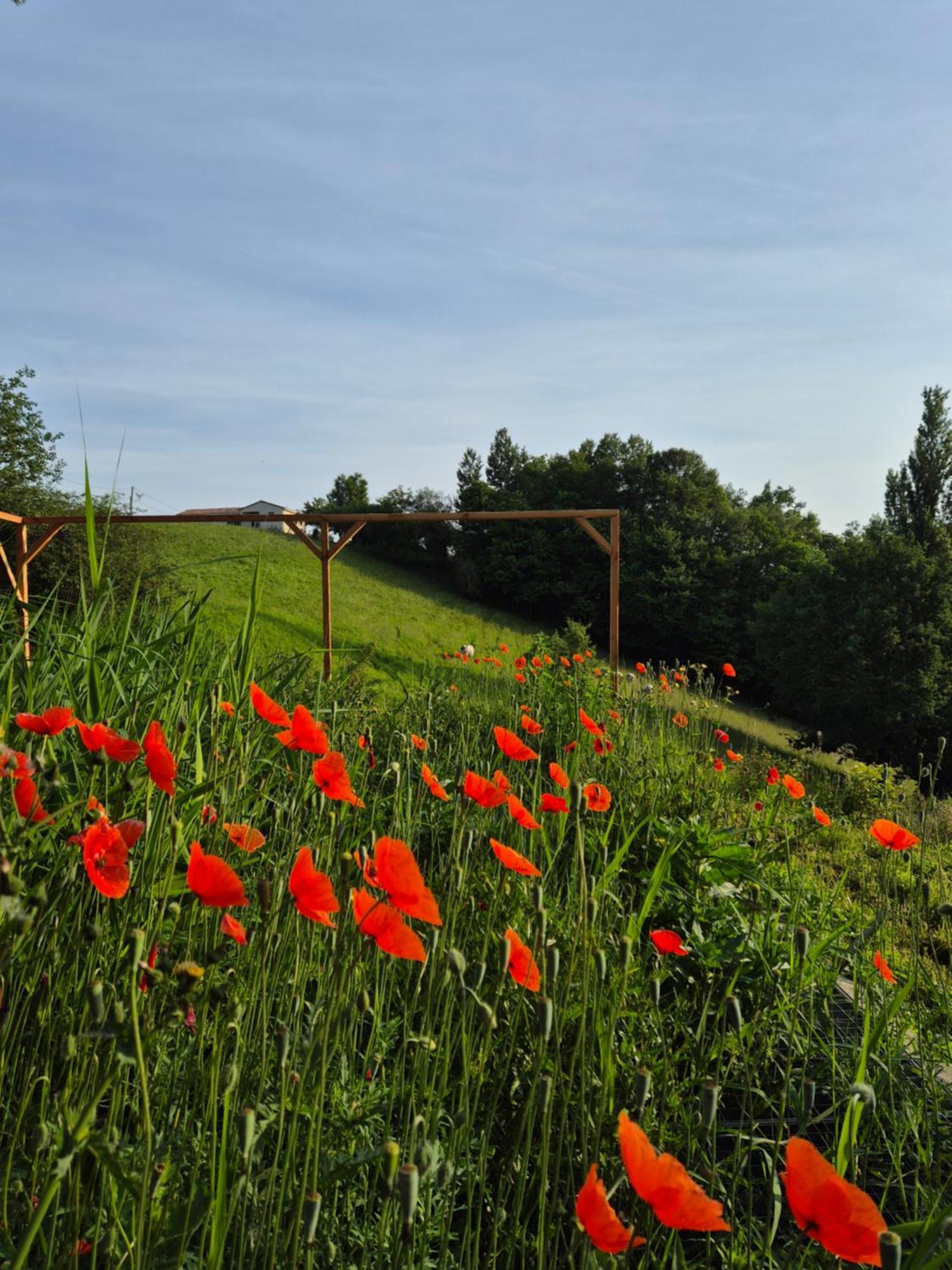 Maison Berthranet Seich Zewnętrze zdjęcie